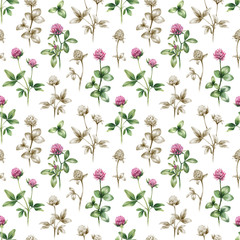 Illustrations of clover flowers. Seamless pattern
