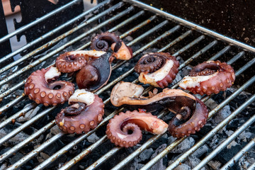 The fish of the sea Octopus