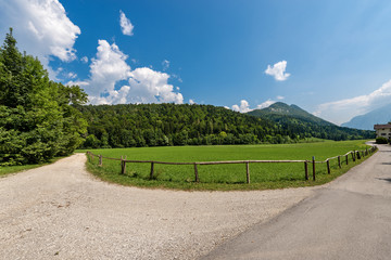 Fototapeta na wymiar Forest in Summer - Val di Sella (Sella Valley), Trentino Alto Adige Italy 