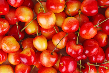 Yellow-red cherries