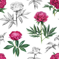 Illustrations of peony flowers. Seamless pattern