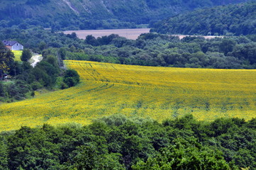 Obraz premium Summer panoramic landscape from the top point