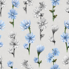 Illustrations of chicory flowers. Seamless pattern