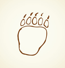 Traces of a bear. Vector drawing