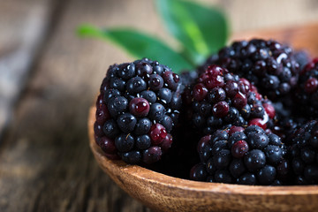 Blackberry Berries Macro