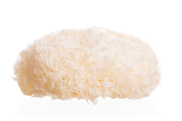 Dried snow fungus (Tremella fuciformis) on white background