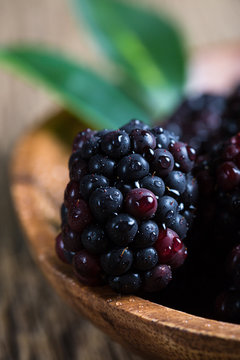 Blackberry Berries Macro