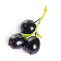 Berries black currant with green leaf. Fresh fruit, isolated on white background.