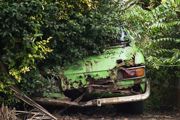 Rusty car wreck in the woods looking from behind