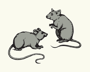 Mouse. Vector drawing