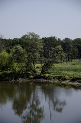 Fototapeta na wymiar View on a river