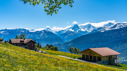 Switzerland, Beatenberg village and Alps view 