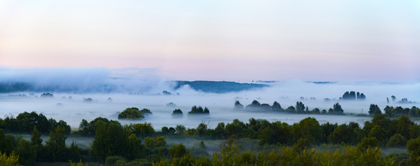Beautiful landscape with trees in the fog