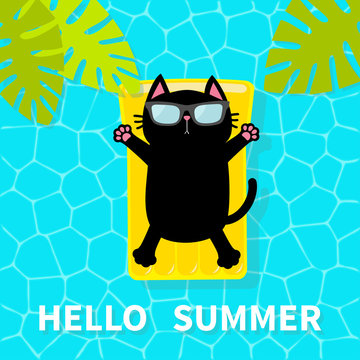 Hello Summer. Swimming pool. Black cat floating on yellow pool float water mattress. Top air view. Sunglasses. Lifebuoy. Palm tree leaf. Cute cartoon relaxing character. Flat design.