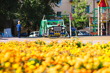 Fototapeta premium Flower bed in the playground