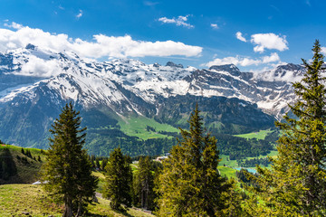 Fototapeta na wymiar Switzerland, Engelberg Alps panorama view 