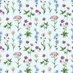 Watercolor illustrations of wild flowers. Seamless pattern