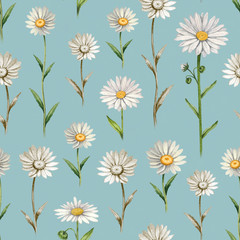 Illustrations of camomile flowers. Seamless pattern