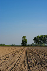 plowed field 1