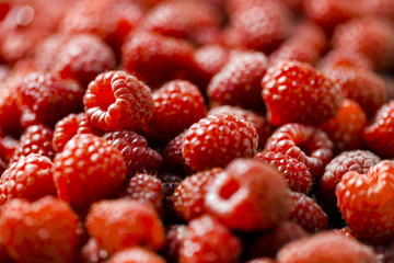 Close up view of fresh red ripe raspberries, nature vitamins
