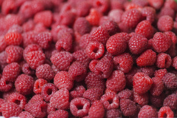 Close up view of fresh red ripe raspberries, nature vitamins