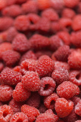 Close up view of fresh red ripe raspberries, nature vitamins