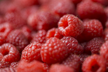 Close up view of fresh red ripe raspberries, nature vitamins