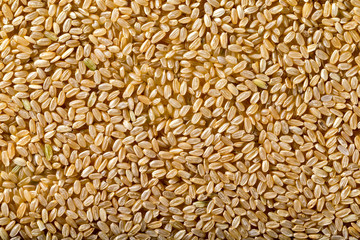 Macro image of brown raw rice top view background. Healthy vegan food lifestyle.