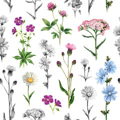 Watercolor illustrations of wild flowers. Seamless pattern