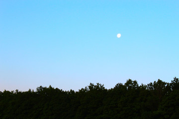 Sunset in the summer