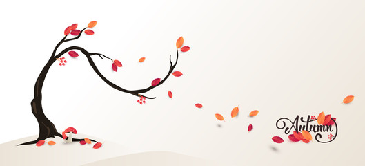 Autumn calligraphy background layout decorate with leaves for shopping or promo poster and frame leaflet or web banner.Vector illustration template.