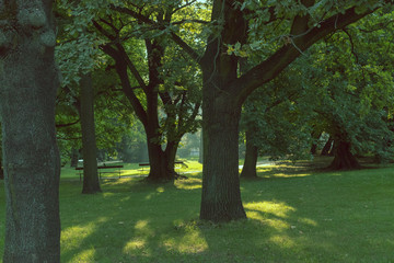 Warszawa Park Kombatantów 