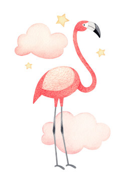 Watercolor tropical flamingo. Perfect for greeting card or invitation
