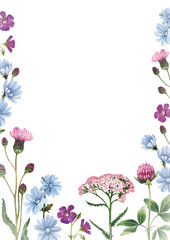 Watercolor illustrations of wild flowers. Perfect for invitations or greeting cards