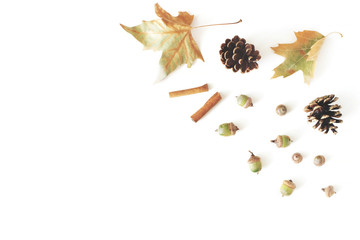 Autumn styled botanical arrangement. Composition of oak acorns, pine cones, dried maple, plane tree leaves and cinnamon sticks on white table background. Fall minimal concept, flat lay, top view.