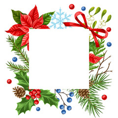 Decorative frame with winter plants.