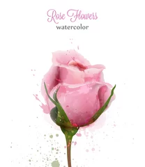 Poster Watercolor pink rose isolated Vector card. Wedding invitation or save the date template. Beautiful backgrounds © castecodesign