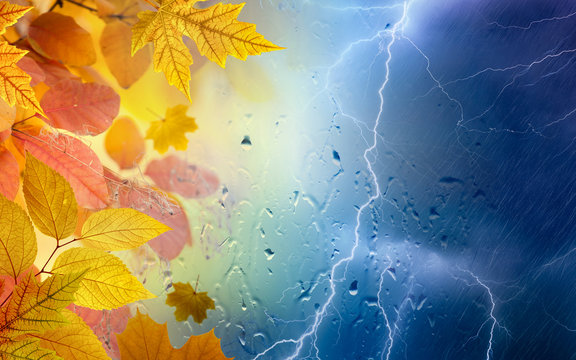 Fall rainy day, yellow and orange leaves, powerful lightnings in dark stormy sky