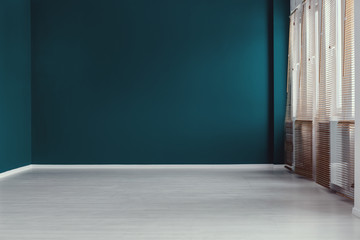 Empty simple green living room interior with blinds and grey floor. Real photo. Place for your sofa