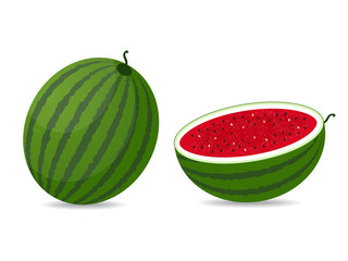 vector illustration of watermelon on white background