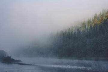 Fog on the river