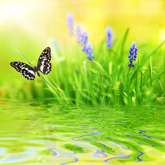 Naklejki  Zielone tło, piękny motyl, niebieski kwiat