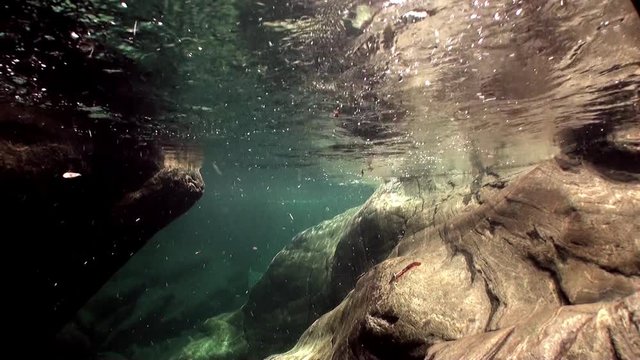 Transparent water of river Verzasca on background of huge smooth stones. Picturesque nature and beautiful landscape in canton of Ticino are favorite place for underwater photographers.