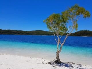 Lake Mckenzie- Fraser Island