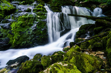 Fototapeta premium Waterfall in Slovenia