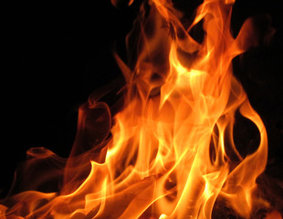 Fototapeta premium Fascinating photos of the flames