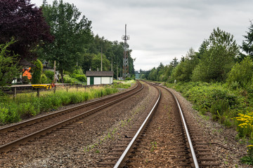 Obraz premium Railway Tracks Lined with Trees on a Cloudy Summer Day. Fort Langley, BC, Canada.