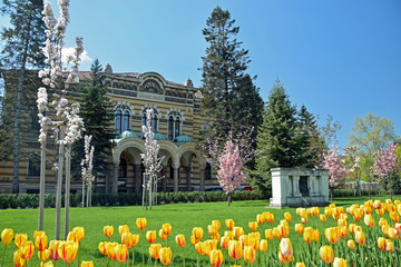 Spring flowers in front of Orthodox Church - 218761301