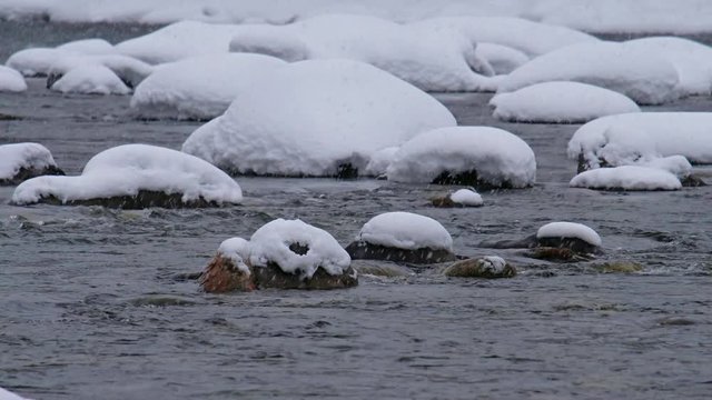 Stones with snow caps in the water of Altai Biya river under heavy snow in winter season