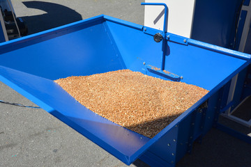 Grinding wheat into flour. Grind wheat in a grain mill.